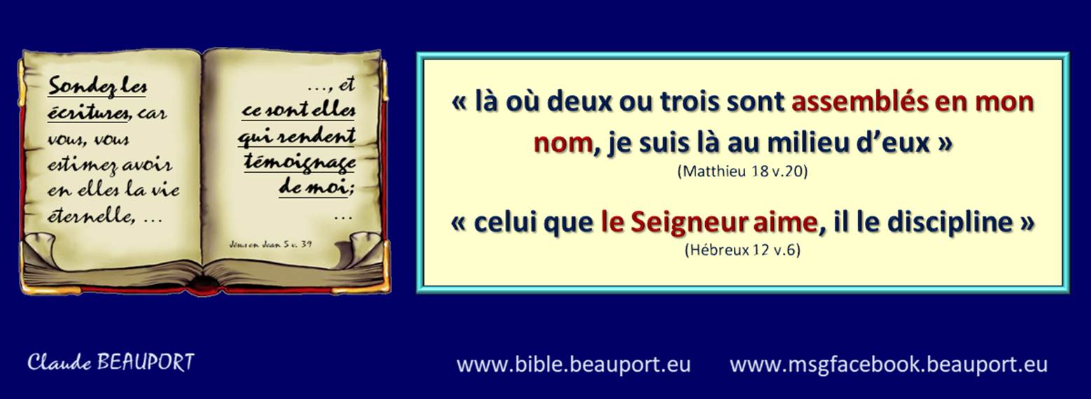 Une image contenant capture d��cran

Description g�n�r�e automatiquement