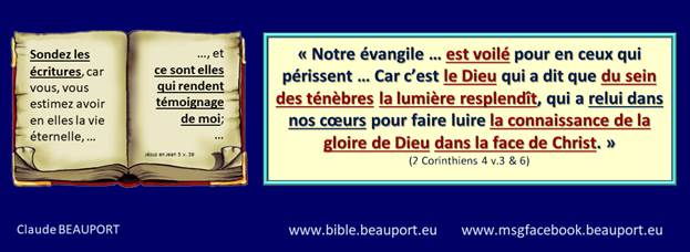 Une image contenant capture d��cran, �cran, tenant

Description g�n�r�e automatiquement