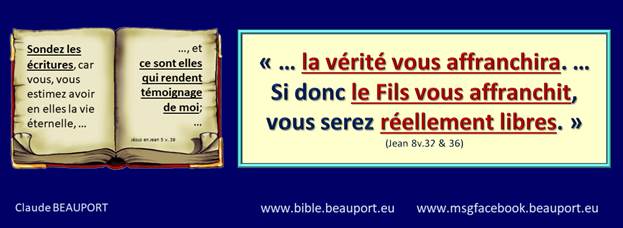 Une image contenant capture dcran, alimentation, afficher

Description gnre automatiquement