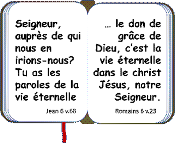 Une image contenant texte

Description g�n�r�e automatiquement