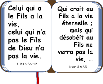 Une image contenant texte

Description g�n�r�e automatiquement